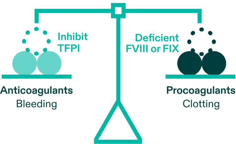 HYMPAVZI inhibits an anticoagulant in order to help increase clotting. This is how rebalancing works.